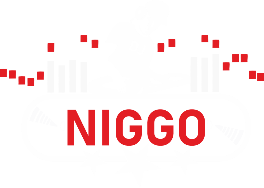DJ Niggo